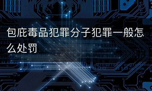 包庇毒品犯罪分子犯罪一般怎么处罚