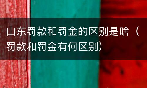 山东罚款和罚金的区别是啥（罚款和罚金有何区别）