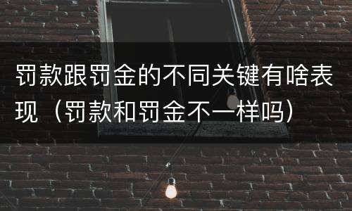 罚款跟罚金的不同关键有啥表现（罚款和罚金不一样吗）