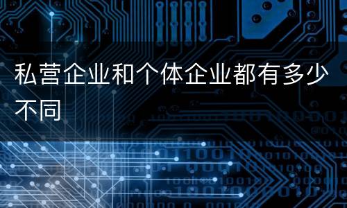 私营企业和个体企业都有多少不同