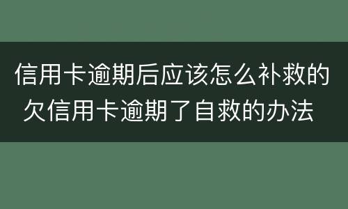 信用卡逾期后应该怎么补救的 欠信用卡逾期了自救的办法
