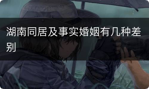 湖南同居及事实婚姻有几种差别