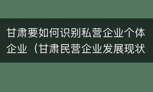 甘肃要如何识别私营企业个体企业（甘肃民营企业发展现状）