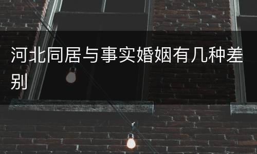 河北同居与事实婚姻有几种差别