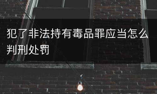 犯了非法持有毒品罪应当怎么判刑处罚