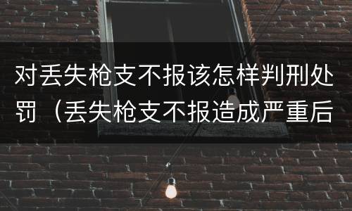 对丢失枪支不报该怎样判刑处罚（丢失枪支不报造成严重后果）