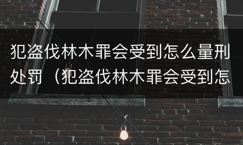 犯盗伐林木罪会受到怎么量刑处罚（犯盗伐林木罪会受到怎么量刑处罚呢）