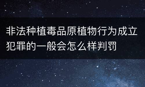 非法种植毒品原植物行为成立犯罪的一般会怎么样判罚