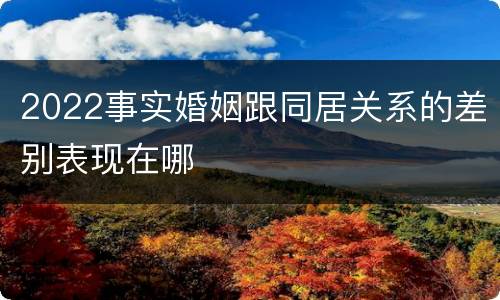 2022事实婚姻跟同居关系的差别表现在哪