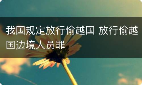 我国规定放行偷越国 放行偷越国边境人员罪