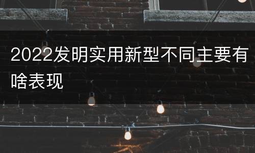 2022发明实用新型不同主要有啥表现