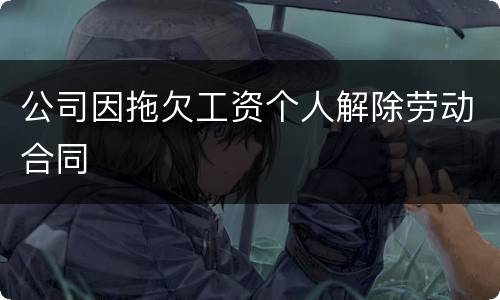 公司因拖欠工资个人解除劳动合同