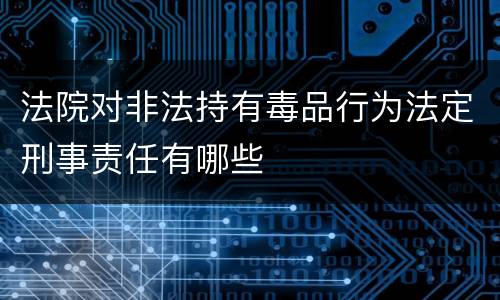 法院对非法持有毒品行为法定刑事责任有哪些