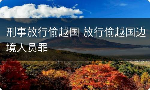 刑事放行偷越国 放行偷越国边境人员罪