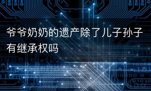 爷爷奶奶的遗产除了儿子孙子有继承权吗