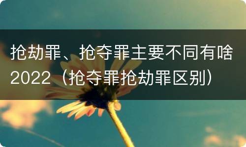 抢劫罪、抢夺罪主要不同有啥2022（抢夺罪抢劫罪区别）