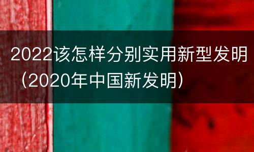 2022该怎样分别实用新型发明（2020年中国新发明）