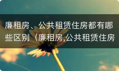 廉租房、公共租赁住房都有哪些区别（廉租房,公共租赁住房都有哪些区别呢）