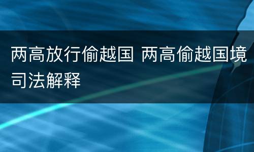 两高放行偷越国 两高偷越国境司法解释