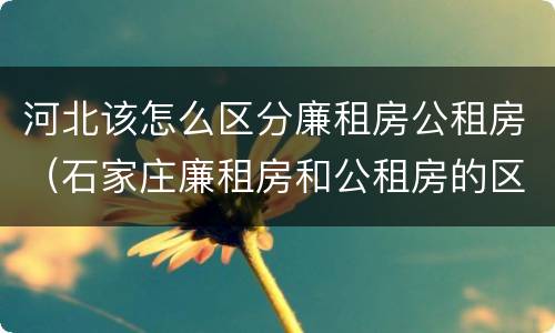 河北该怎么区分廉租房公租房（石家庄廉租房和公租房的区别）