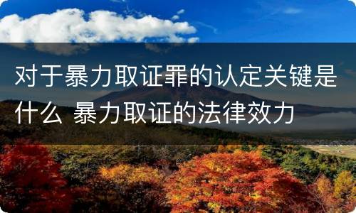 对于暴力取证罪的认定关键是什么 暴力取证的法律效力