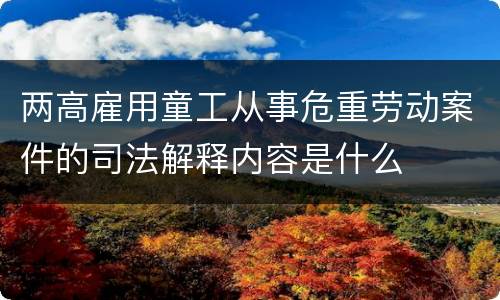 两高雇用童工从事危重劳动案件的司法解释内容是什么