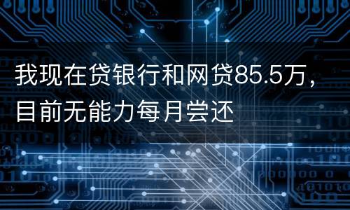 我现在贷银行和网贷85.5万，目前无能力每月尝还