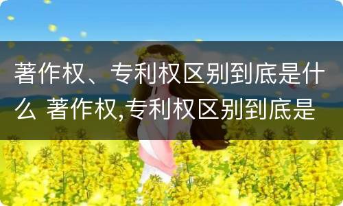 著作权、专利权区别到底是什么 著作权,专利权区别到底是什么