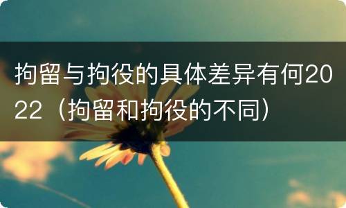 拘留与拘役的具体差异有何2022（拘留和拘役的不同）