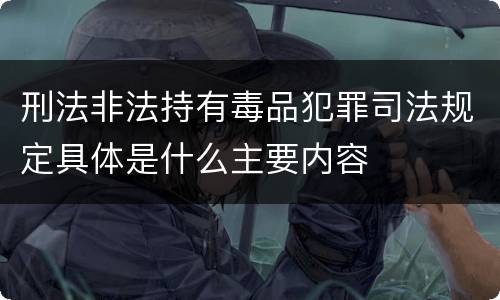 刑法非法持有毒品犯罪司法规定具体是什么主要内容