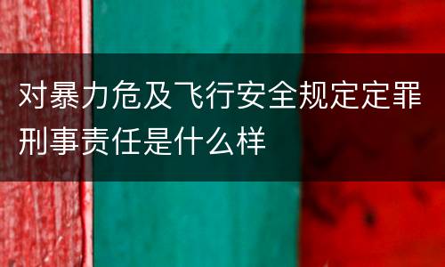 对暴力危及飞行安全规定定罪刑事责任是什么样