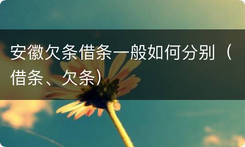 安徽欠条借条一般如何分别（借条、欠条）
