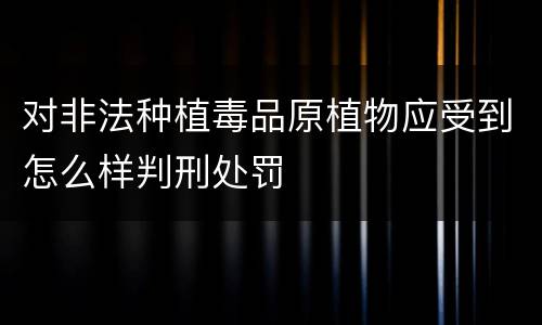 对非法种植毒品原植物应受到怎么样判刑处罚