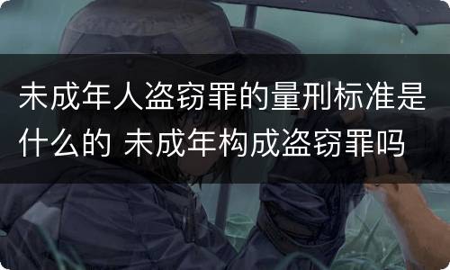 未成年人盗窃罪的量刑标准是什么的 未成年构成盗窃罪吗