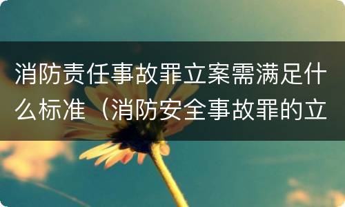 消防责任事故罪立案需满足什么标准（消防安全事故罪的立案标准）
