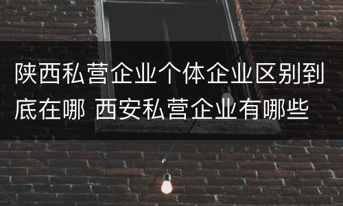 陕西私营企业个体企业区别到底在哪 西安私营企业有哪些