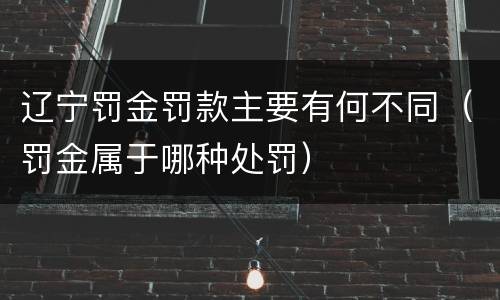 辽宁罚金罚款主要有何不同（罚金属于哪种处罚）