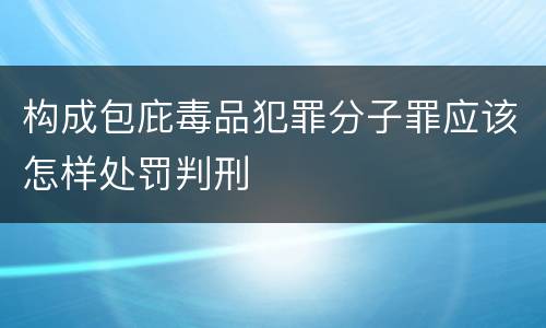 构成包庇毒品犯罪分子罪应该怎样处罚判刑