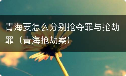 青海要怎么分别抢夺罪与抢劫罪（青海抢劫案）