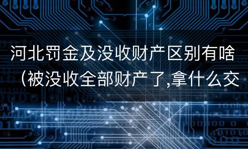 河北罚金及没收财产区别有啥（被没收全部财产了,拿什么交罚金）