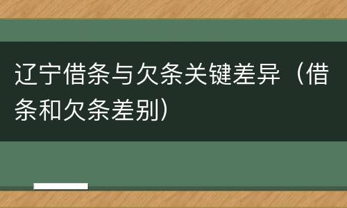 辽宁借条与欠条关键差异（借条和欠条差别）