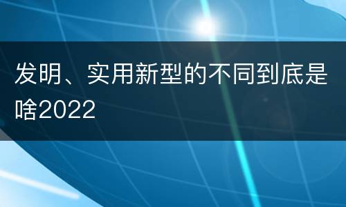 发明、实用新型的不同到底是啥2022