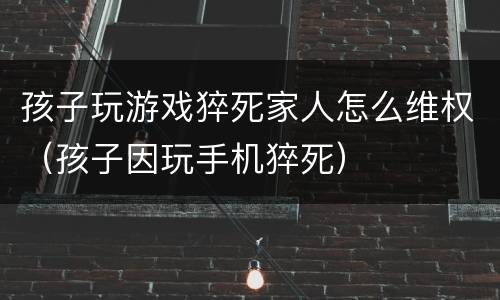 孩子玩游戏猝死家人怎么维权（孩子因玩手机猝死）