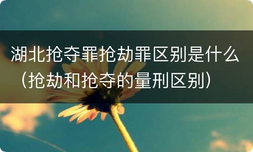 湖北抢夺罪抢劫罪区别是什么（抢劫和抢夺的量刑区别）