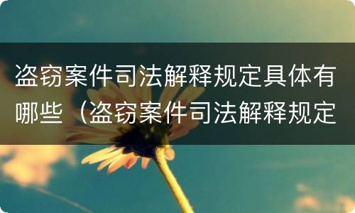 盗窃案件司法解释规定具体有哪些（盗窃案件司法解释规定具体有哪些情形）