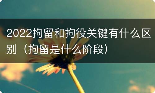 2022拘留和拘役关键有什么区别（拘留是什么阶段）