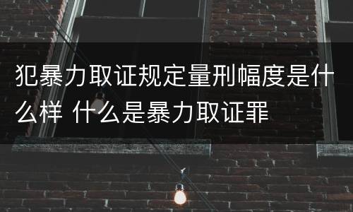 犯暴力取证规定量刑幅度是什么样 什么是暴力取证罪