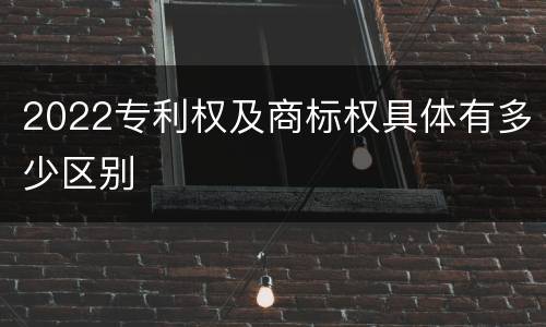 2022专利权及商标权具体有多少区别