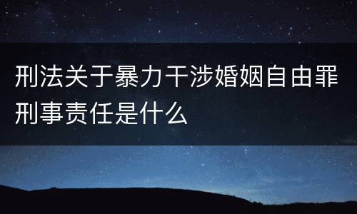 刑法关于暴力干涉婚姻自由罪刑事责任是什么