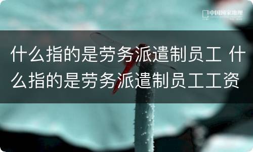 什么指的是劳务派遣制员工 什么指的是劳务派遣制员工工资